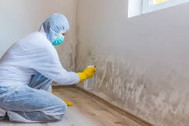 Best Mold Remediation for Healthcare Facilities in USA